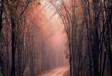 巅峰国际：“NBA球队更换主场，球迷适应新环境”.