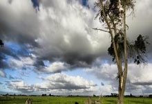 巅峰国际：字母哥独木难支 无解防守或助雷霆笑傲NBA杯.