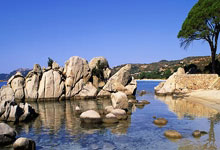 安吉利诺:希望迪巴拉尽快伤愈,如果拉涅利继续执教我们会很高兴.